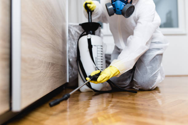 Wasp Removal Services in Murphysboro, IL