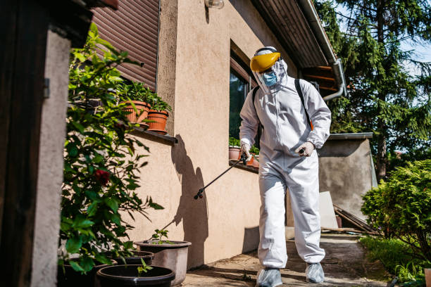 Best Local Pest Control Services  in Murphysboro, IL