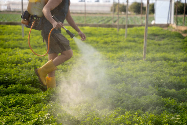 Reliable Murphysboro, IL Pest Control Solutions