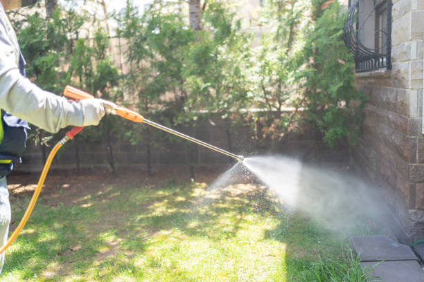 Best Residential Pest Control  in Murphysboro, IL