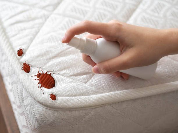 Best Best Pest Control Companies  in Murphysboro, IL