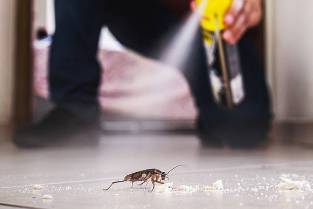 Best Insect Control  in Murphysboro, IL