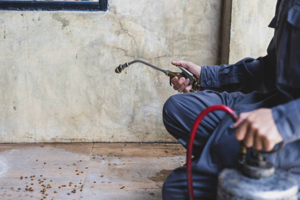 Best Flea Control Services  in Murphysboro, IL